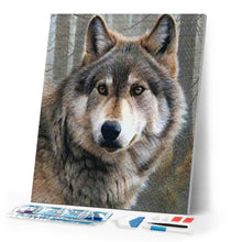Load image into Gallery viewer, Diamond Painting | Diamond Painting - Wolf Portrait | animals Diamond Painting Animals | FiguredArt