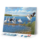 Diamond Painting | Diamond Painting - Pelicans | animals Diamond Painting Animals | FiguredArt