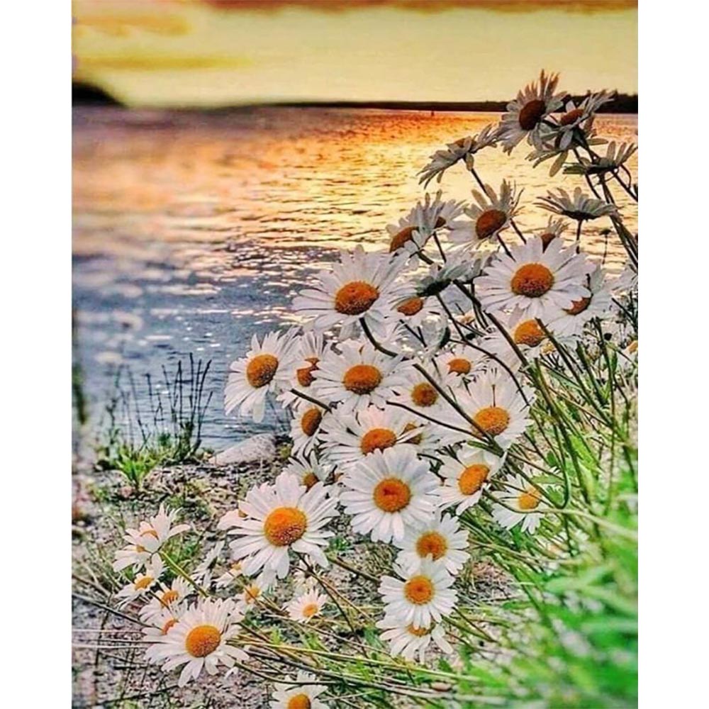 Diamond Painting - Daisies near the Lake