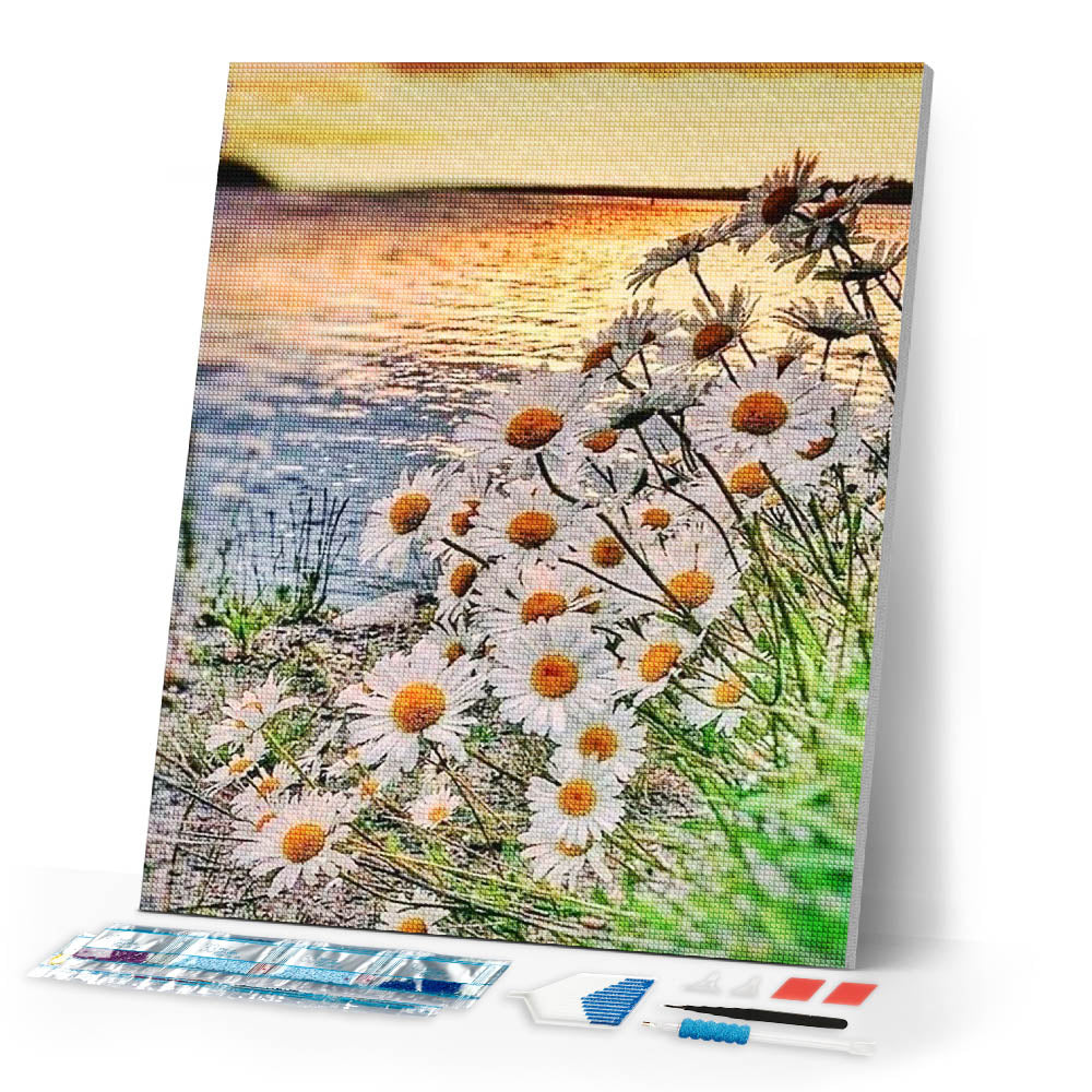 Diamond Painting | Diamond Painting - Daisies near the Lake | Diamond Painting Flowers flowers | FiguredArt