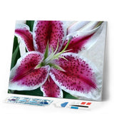 Diamond Painting | Diamond Painting - Red Lily | Diamond Painting Flowers flowers | FiguredArt
