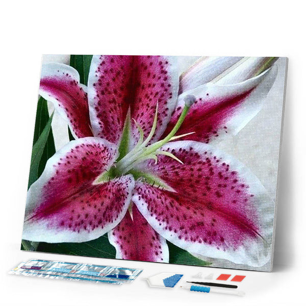 Diamond Painting | Diamond Painting - Red Lily | Diamond Painting Flowers flowers | FiguredArt