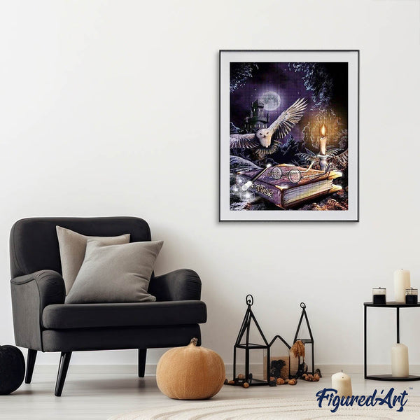 Diamond Painting - Magic Owl