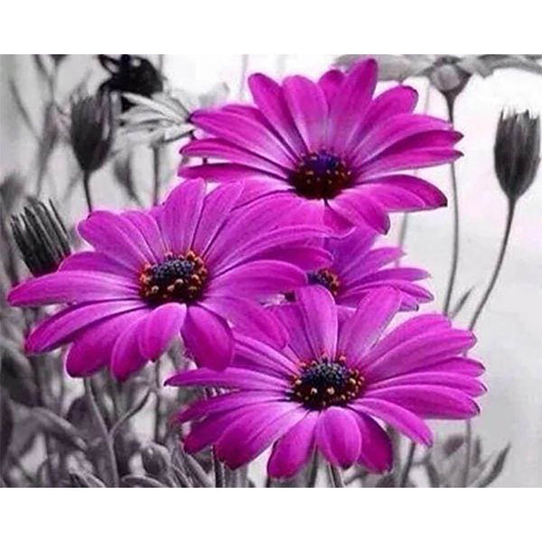 Diamond Painting - Purple Daisies