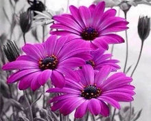 Load image into Gallery viewer, Diamond Painting | Diamond Painting - Purple Daisies | Diamond Painting Flowers flowers | FiguredArt