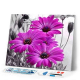 Diamond Painting | Diamond Painting - Purple Daisies | Diamond Painting Flowers flowers | FiguredArt