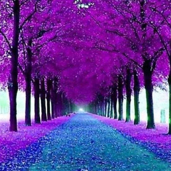 Diamond Painting - Flowered Pathway