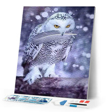 Load image into Gallery viewer, Diamond Painting | Diamond Painting - Owl Feather | animals Diamond Painting Animals owls | FiguredArt