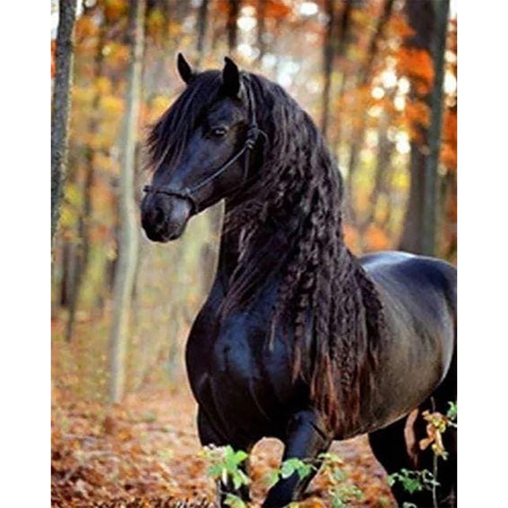 Diamond Painting - Black Mare