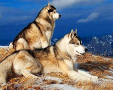 Load image into Gallery viewer, Diamond Painting | Diamond Painting - Huskies | animals Diamond Painting Animals | FiguredArt