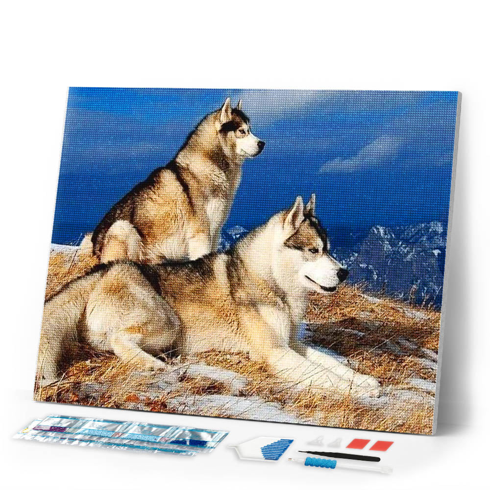 Diamond Painting | Diamond Painting - Huskies | animals Diamond Painting Animals | FiguredArt