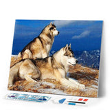 Diamond Painting | Diamond Painting - Huskies | animals Diamond Painting Animals | FiguredArt