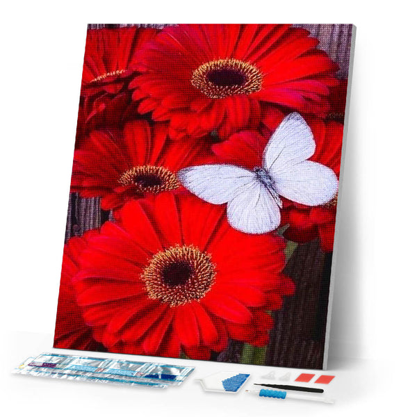 Diamond Painting | Diamond Painting - Red Daisies and White Butterfly | animals butterflies Diamond Painting Animals Diamond Painting