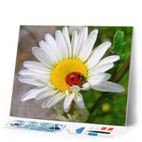 Diamond Painting | Diamond Painting - Ladybird and Marguerite | animals Diamond Painting Animals Diamond Painting Flowers flowers |