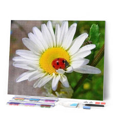 Load image into Gallery viewer, Diamond Painting - Ladybird and Marguerite