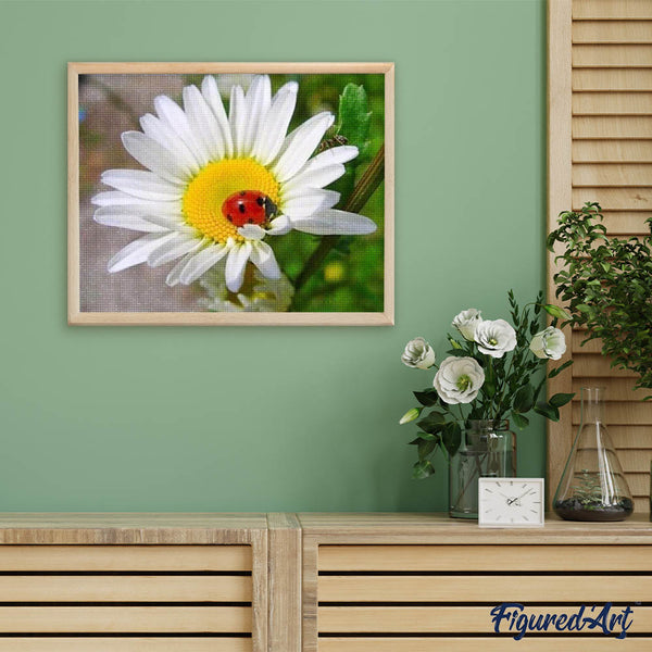 Diamond Painting - Ladybird and Marguerite