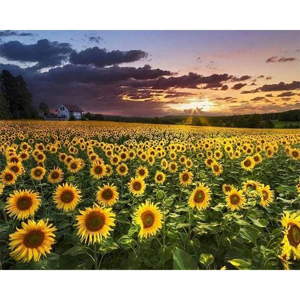 Diamond Painting - Sunflower Field