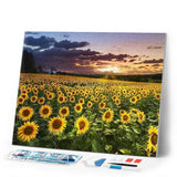 Diamond Painting | Diamond Painting - Sunflower Field | Diamond Painting Flowers flowers | FiguredArt