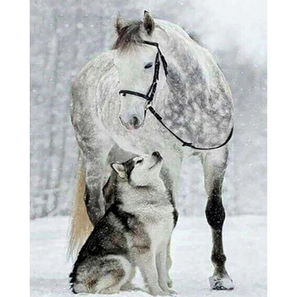 Diamond Painting - Horse & Wolf in the Snow