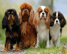 Load image into Gallery viewer, Diamond Painting | Diamond Painting - Puppy Family | animals Diamond Painting Animals | FiguredArt
