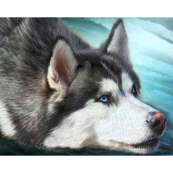 Diamond Painting - Husky with blue eyes