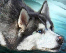 Load image into Gallery viewer, Diamond Painting | Diamond Painting - Husky with blue eyes | animals Diamond Painting Animals | FiguredArt