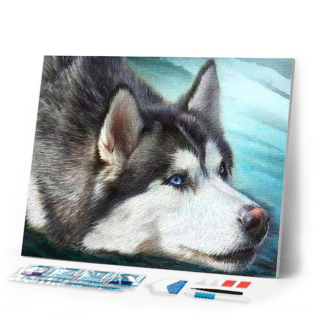 Diamond Painting | Diamond Painting - Husky with blue eyes | animals Diamond Painting Animals | FiguredArt