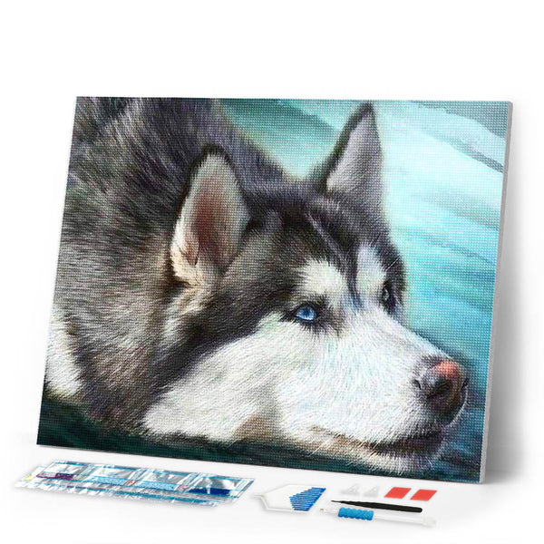 Diamond Painting | Diamond Painting - Husky with blue eyes | animals Diamond Painting Animals | FiguredArt