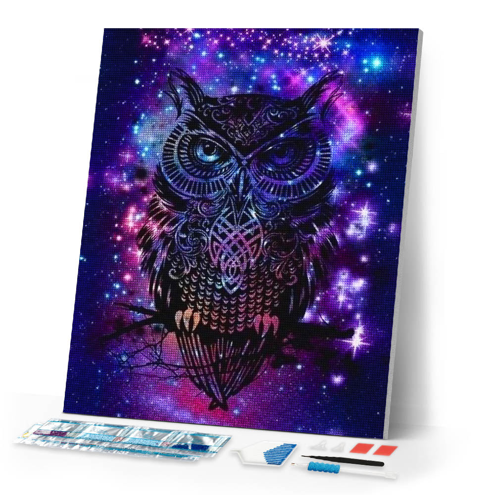 Diamond Painting | Diamond Painting - Owl in the Night | animals Diamond Painting Animals owls | FiguredArt