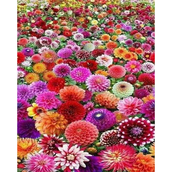 Diamond Painting - Flower Field