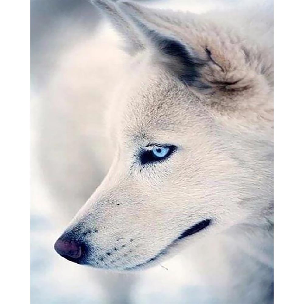 Diamond Painting - Husky Portrait