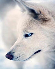Load image into Gallery viewer, Diamond Painting | Diamond Painting - Husky Portrait | animals Diamond Painting Animals | FiguredArt