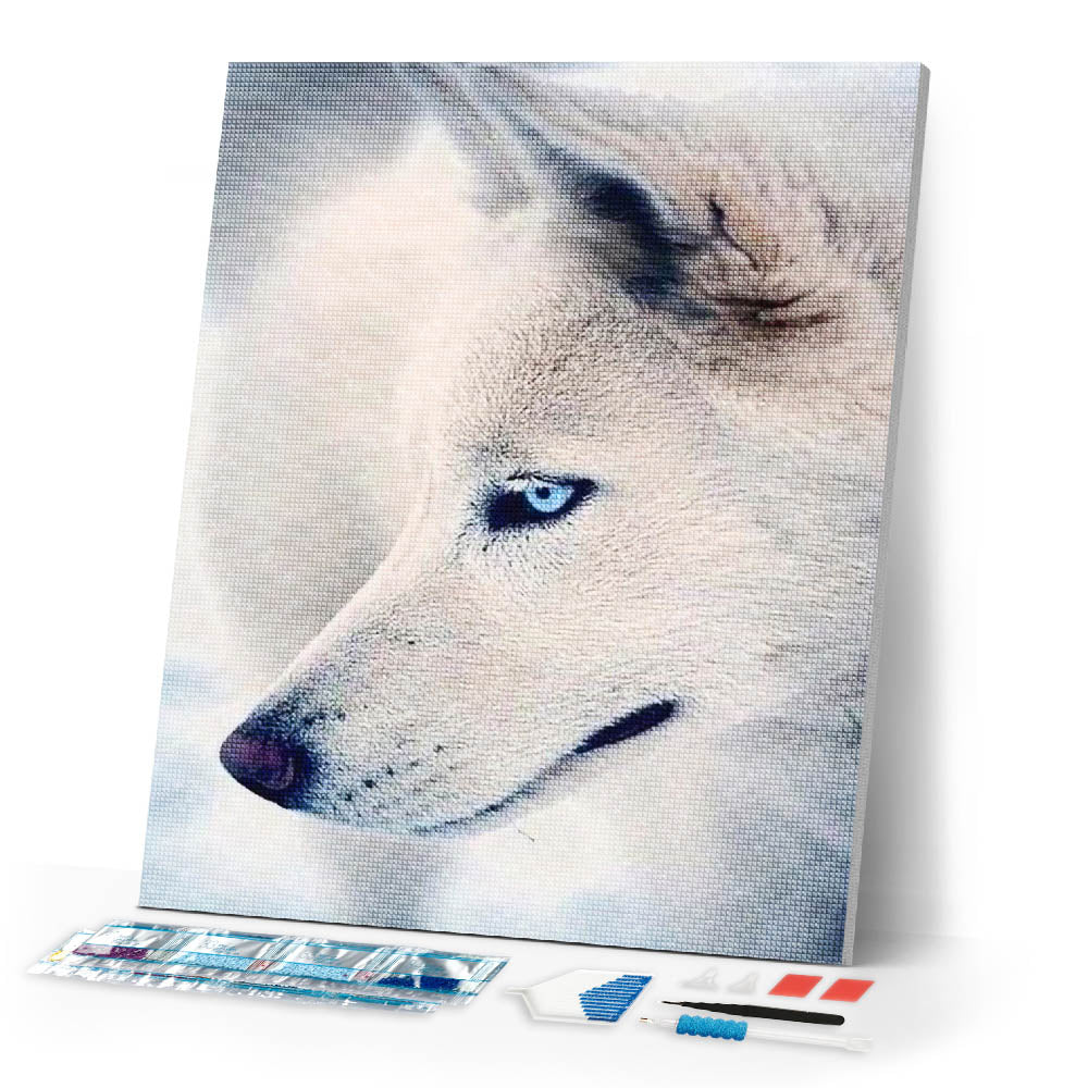 Diamond Painting | Diamond Painting - Husky Portrait | animals Diamond Painting Animals | FiguredArt