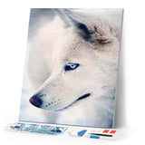 Diamond Painting | Diamond Painting - Husky Portrait | animals Diamond Painting Animals | FiguredArt