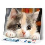 Diamond Painting | Diamond Painting - Little Cat Curious | animals cats Diamond Painting Animals | FiguredArt