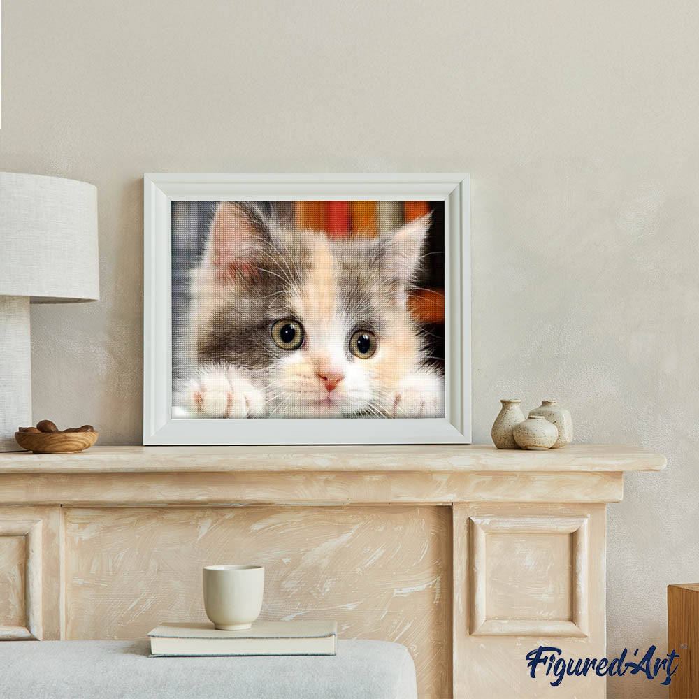 Diamond Painting - Little Cat Curious