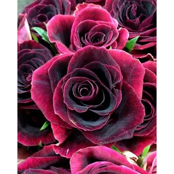 Diamond Painting - Rose