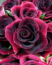 Load image into Gallery viewer, Diamond Painting | Diamond Painting - Rose | Diamond Painting Flowers flowers | FiguredArt
