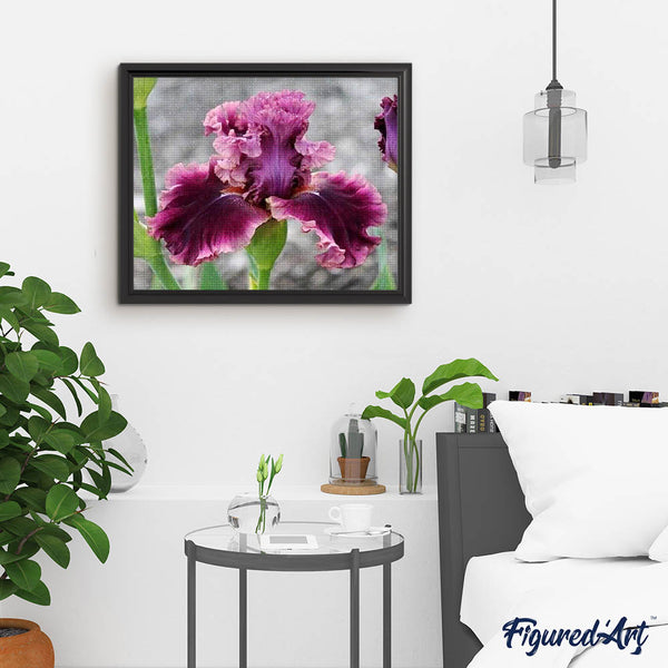 Diamond Painting - Iris Flower