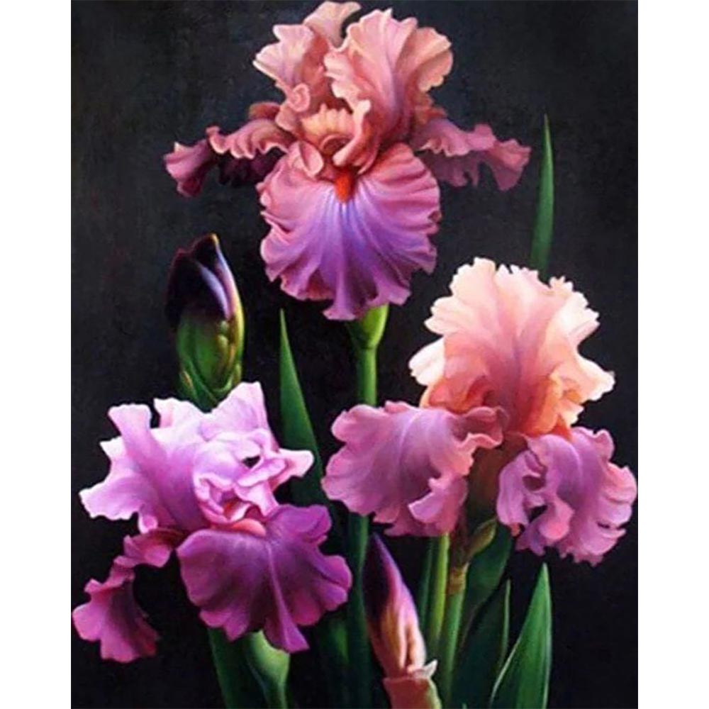 Diamond Painting - Blooming Iris