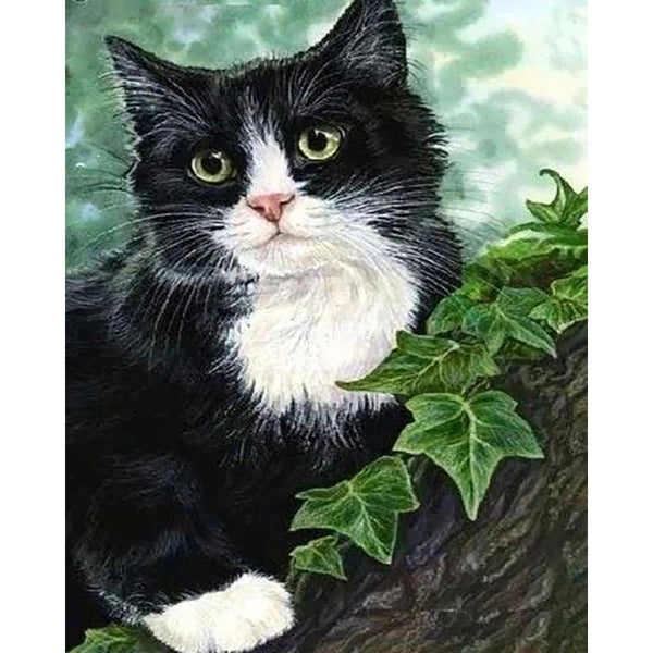 Diamond Painting - Black and white Cat