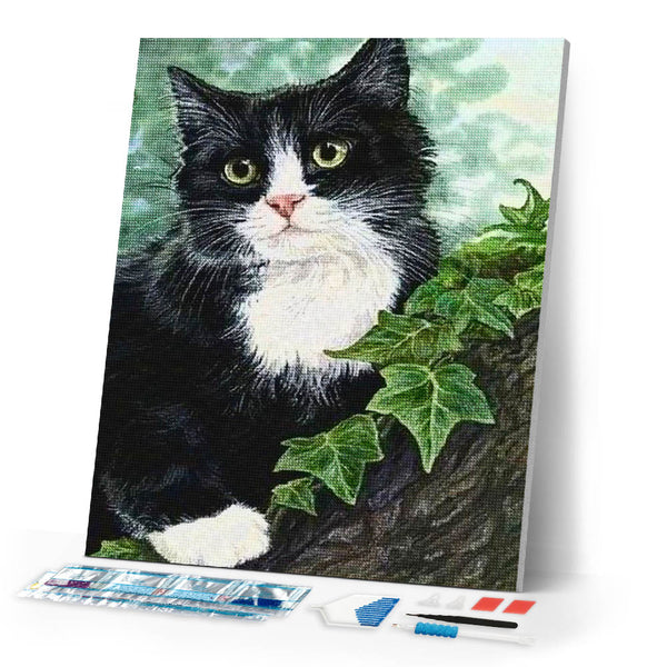 Diamond Painting | Diamond Painting - Black and white Cat | animals cats Diamond Painting Animals | FiguredArt