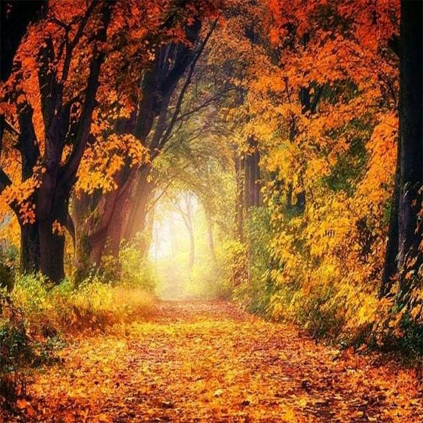 Diamond Painting - Walk in Forest
