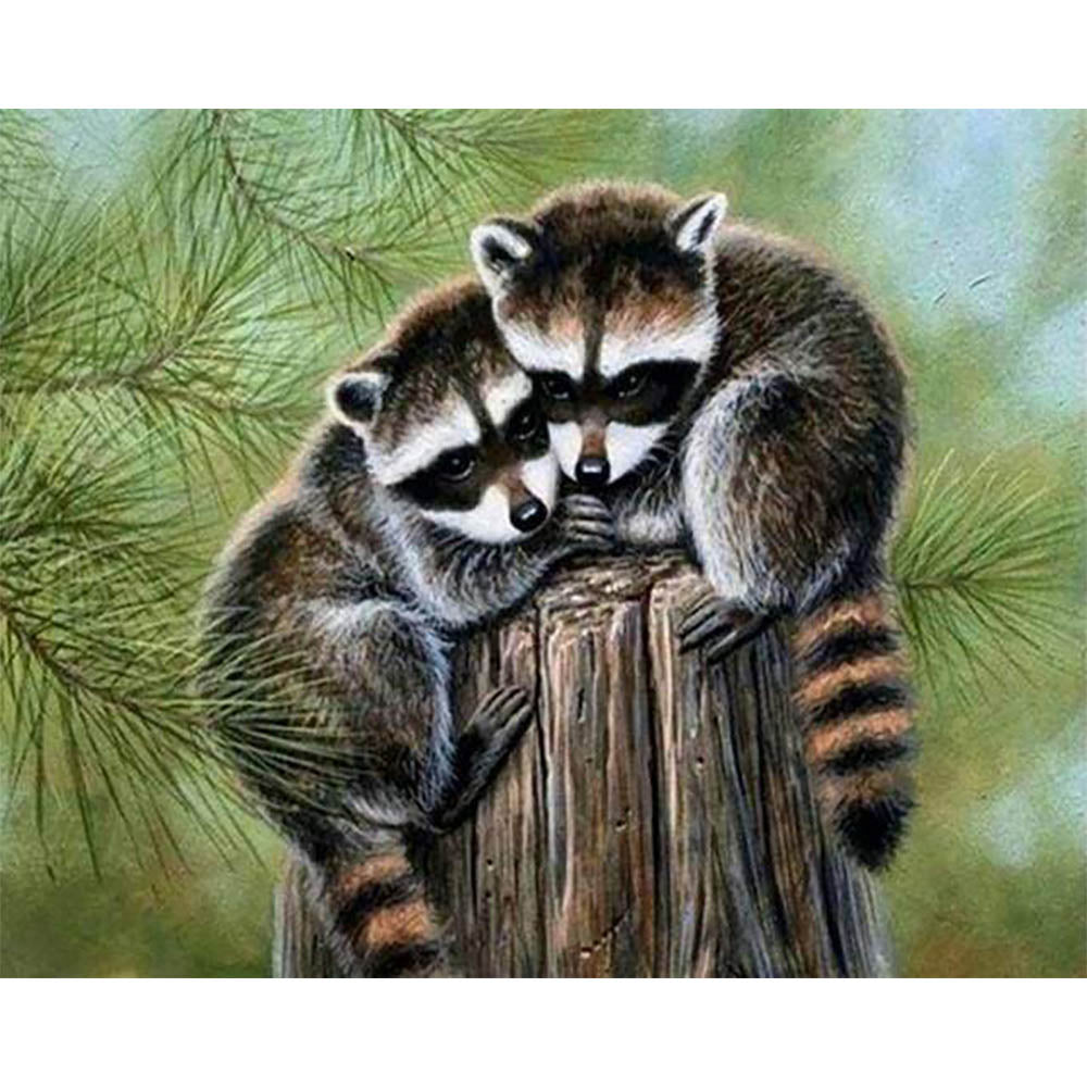 Diamond Painting - Perched Raccoon