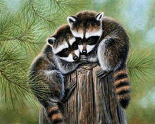 Load image into Gallery viewer, Diamond Painting | Diamond Painting - Perched Raccoon | animals Diamond Painting Animals raccoons | FiguredArt