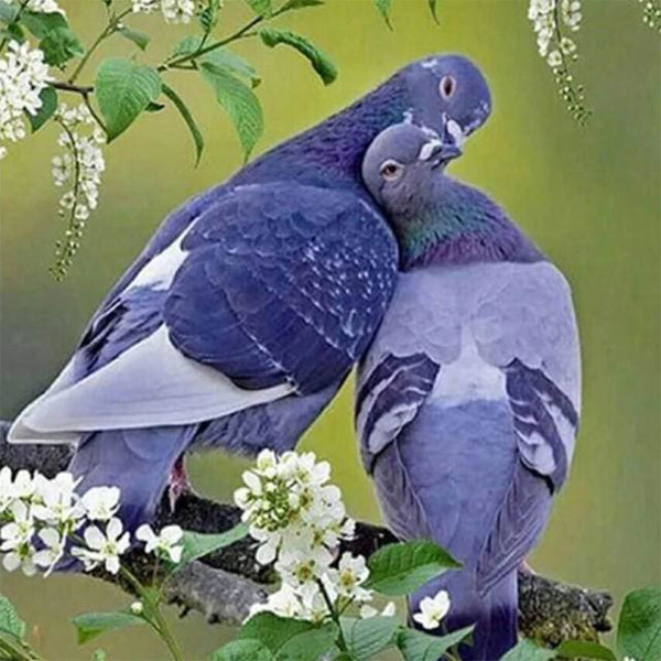 Diamond Painting - Pigeons in love