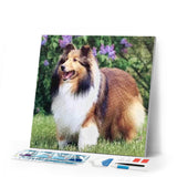 Diamond Painting | Diamond Painting - Collie in the Garden | animals Diamond Painting Animals | FiguredArt