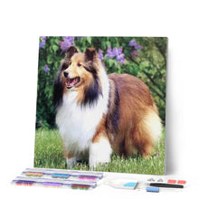 Load image into Gallery viewer, Diamond Painting - Collie in the Garden