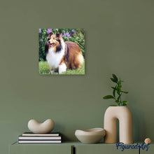 Load image into Gallery viewer, Diamond Painting - Collie in the Garden