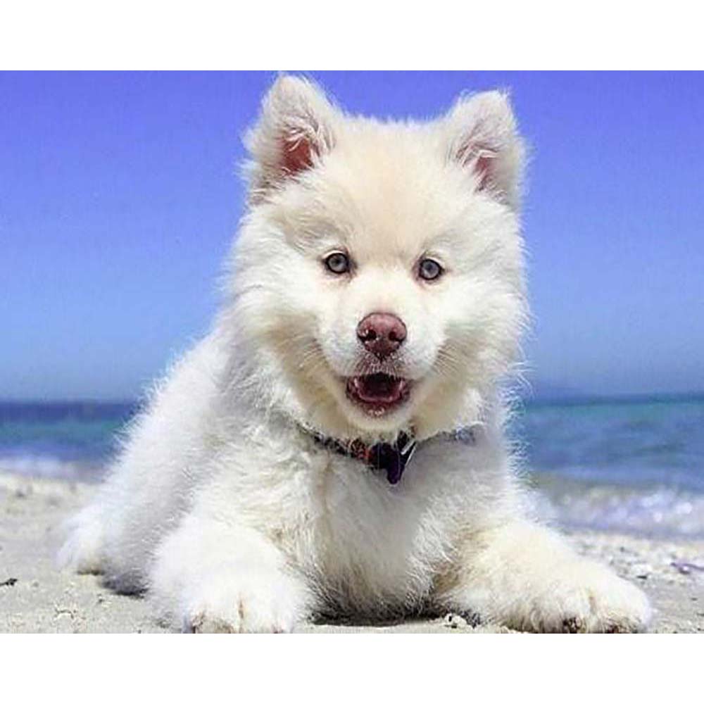 Diamond Painting - Dog on the Beach